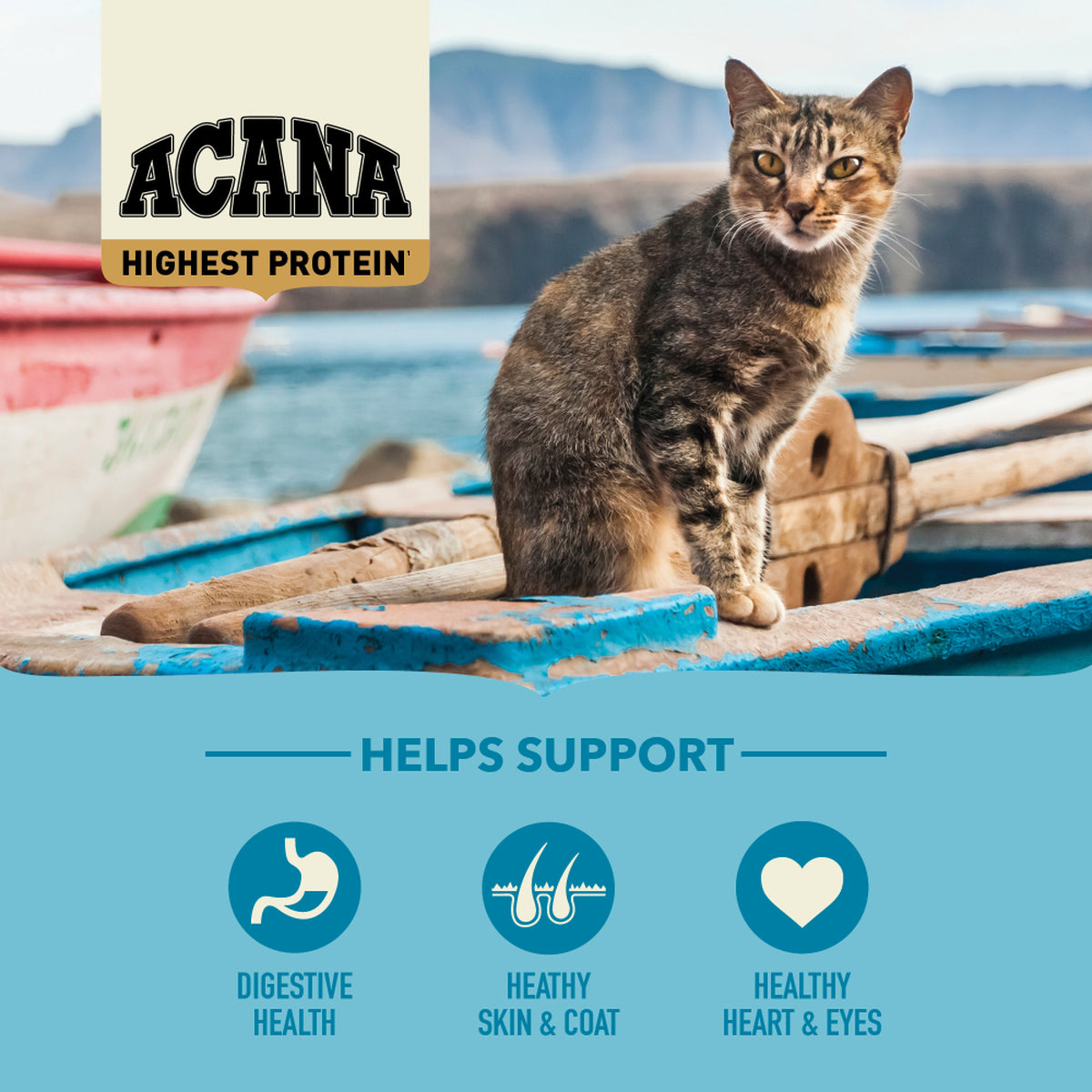 acana Highest Protein, Pacifica Cat Food