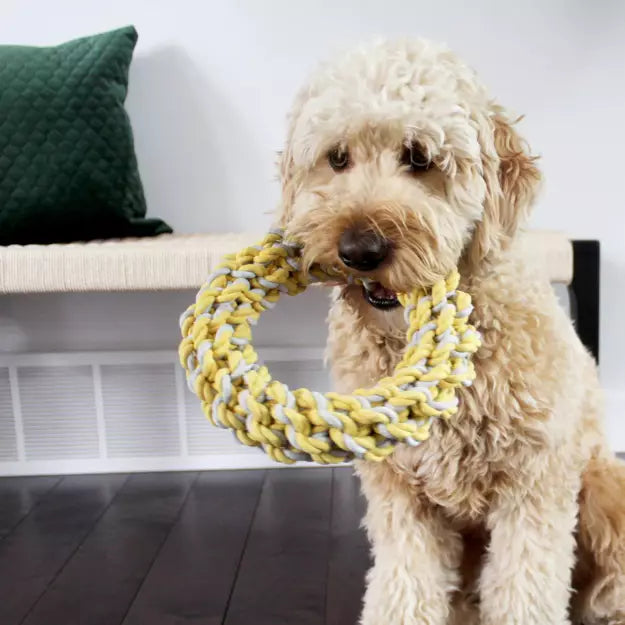 Be One Breed Rope Ring small