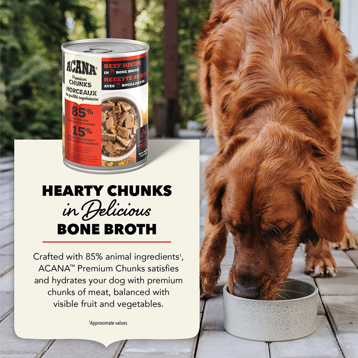 ACANA Premium Chunks Wet Dog Food Beef Recipe in Bone Broth 363g