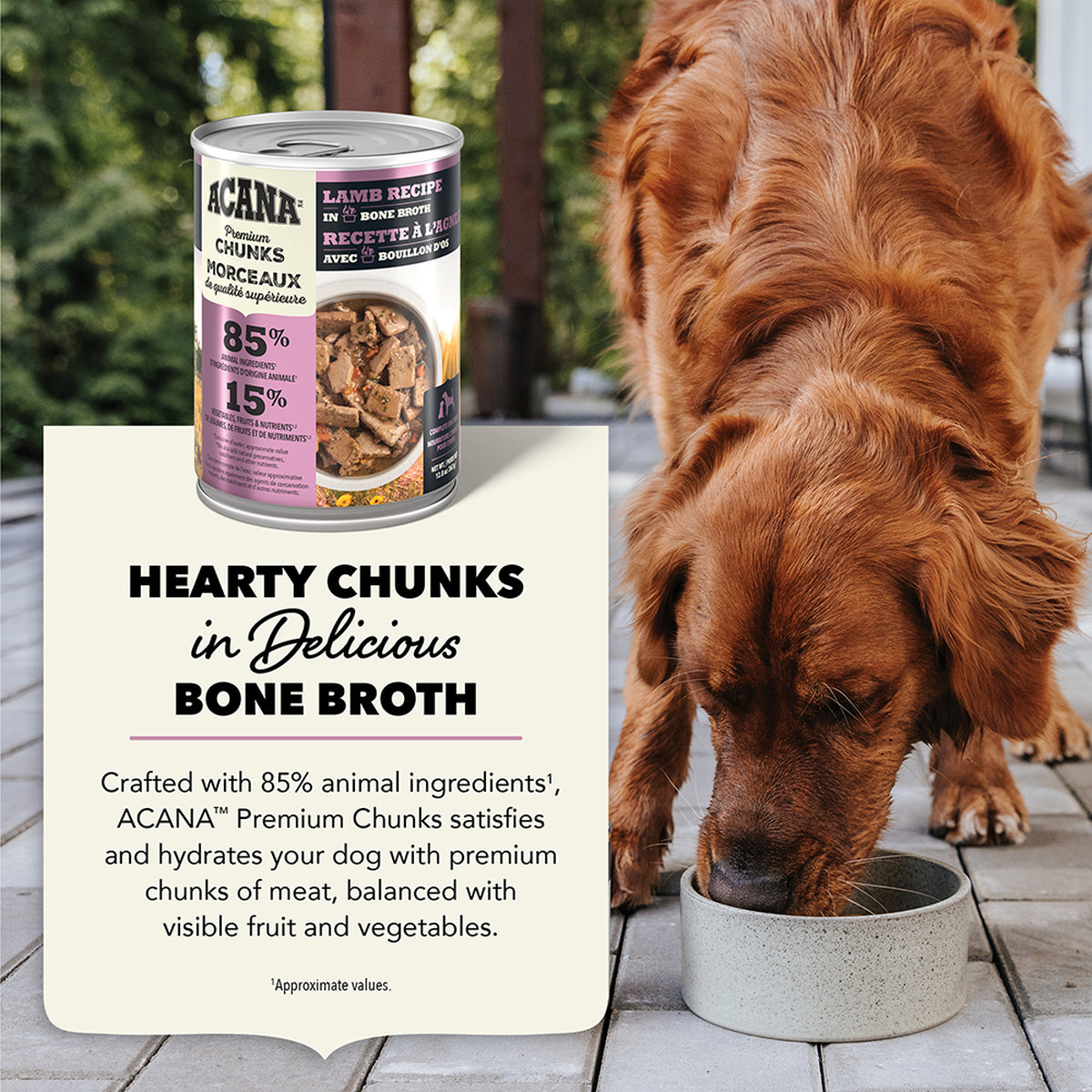 ACANA Premium Chunks Wet Dog Food Lamb Recipe in Bone Broth 363g