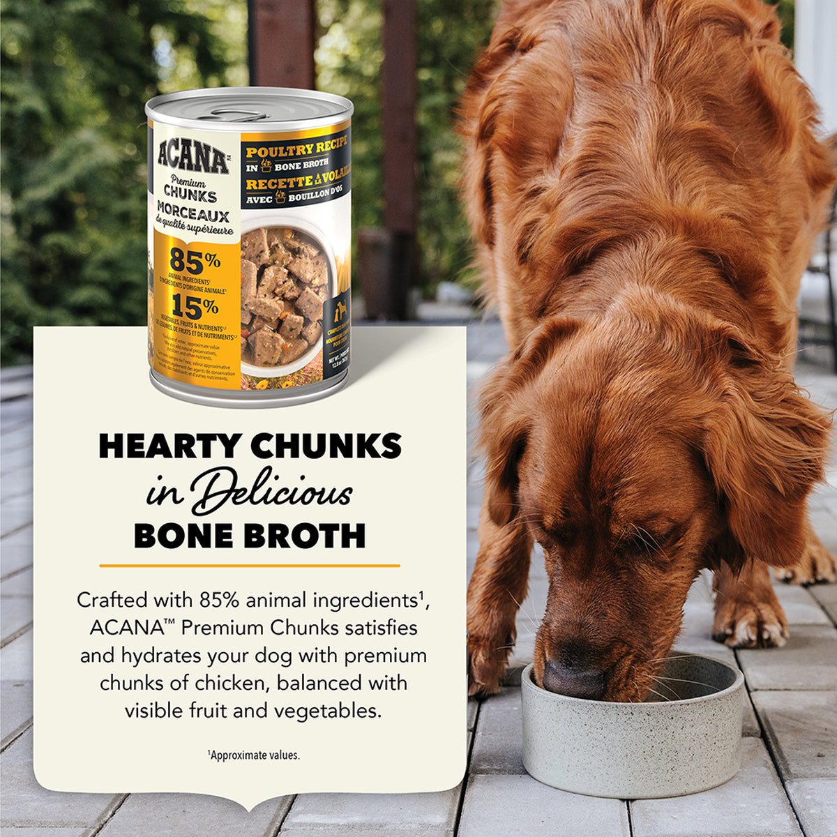 ACANA Premium Chunks Wet Dog Food Poultry Recipe in Bone Broth 363g