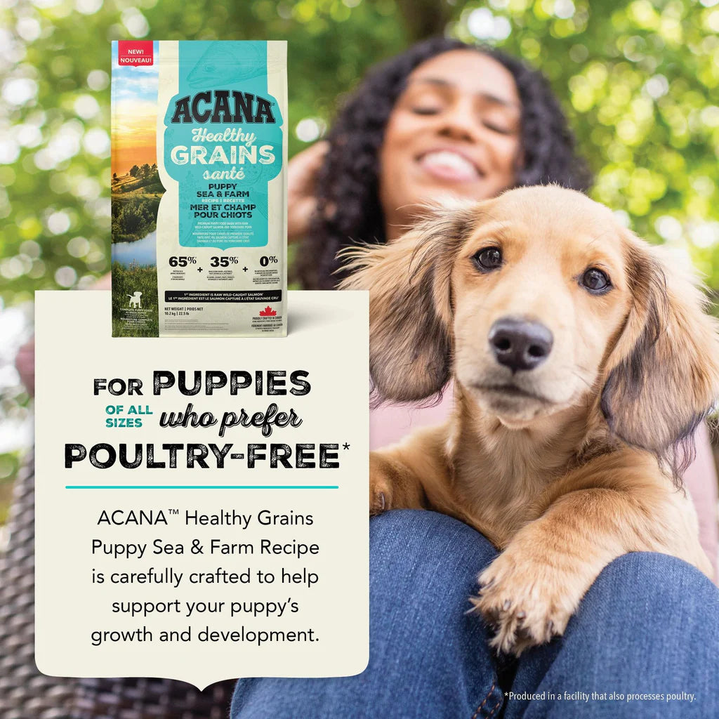 Acana Healthy Grain Puppy