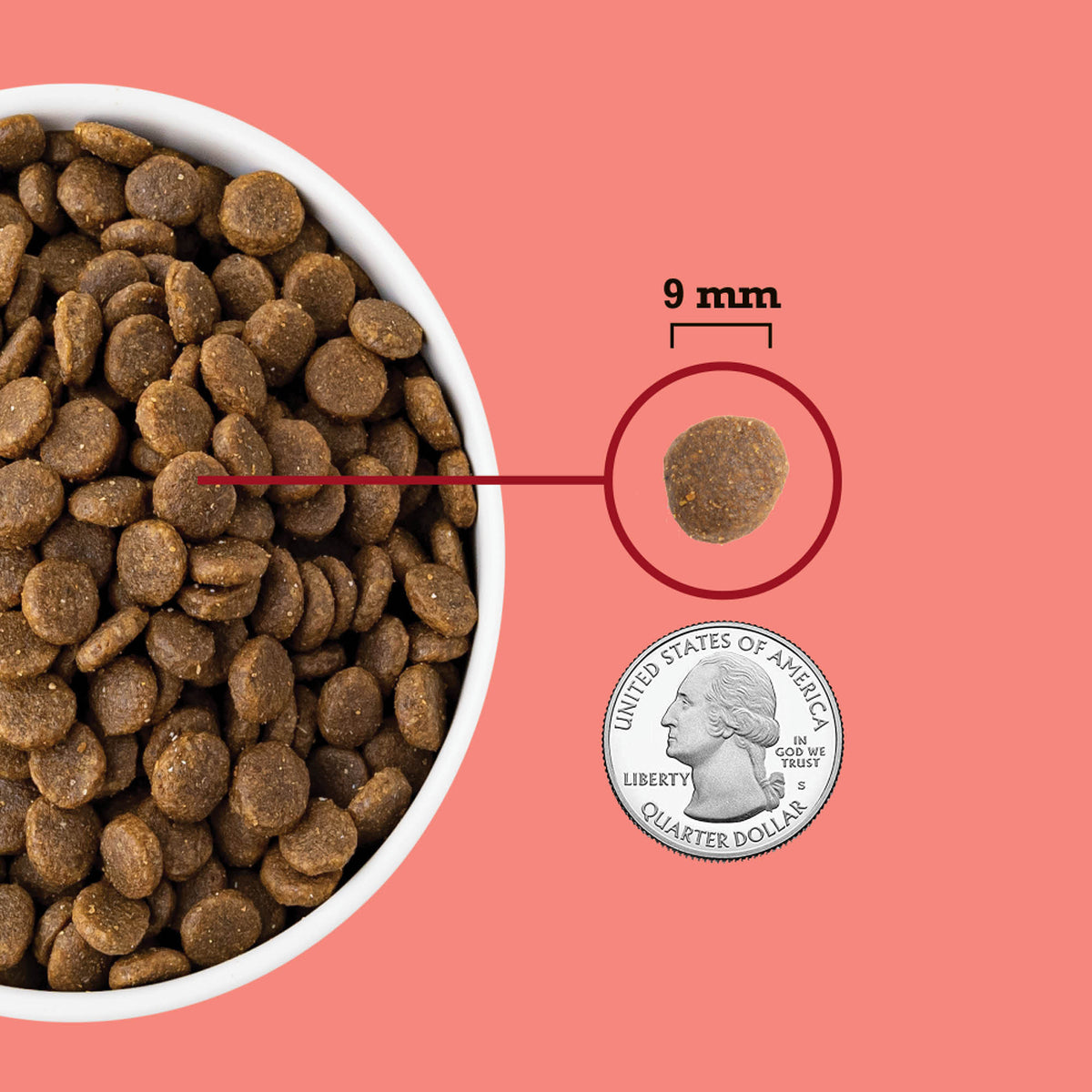 Highest Protein, Indoor Cat Recipe
