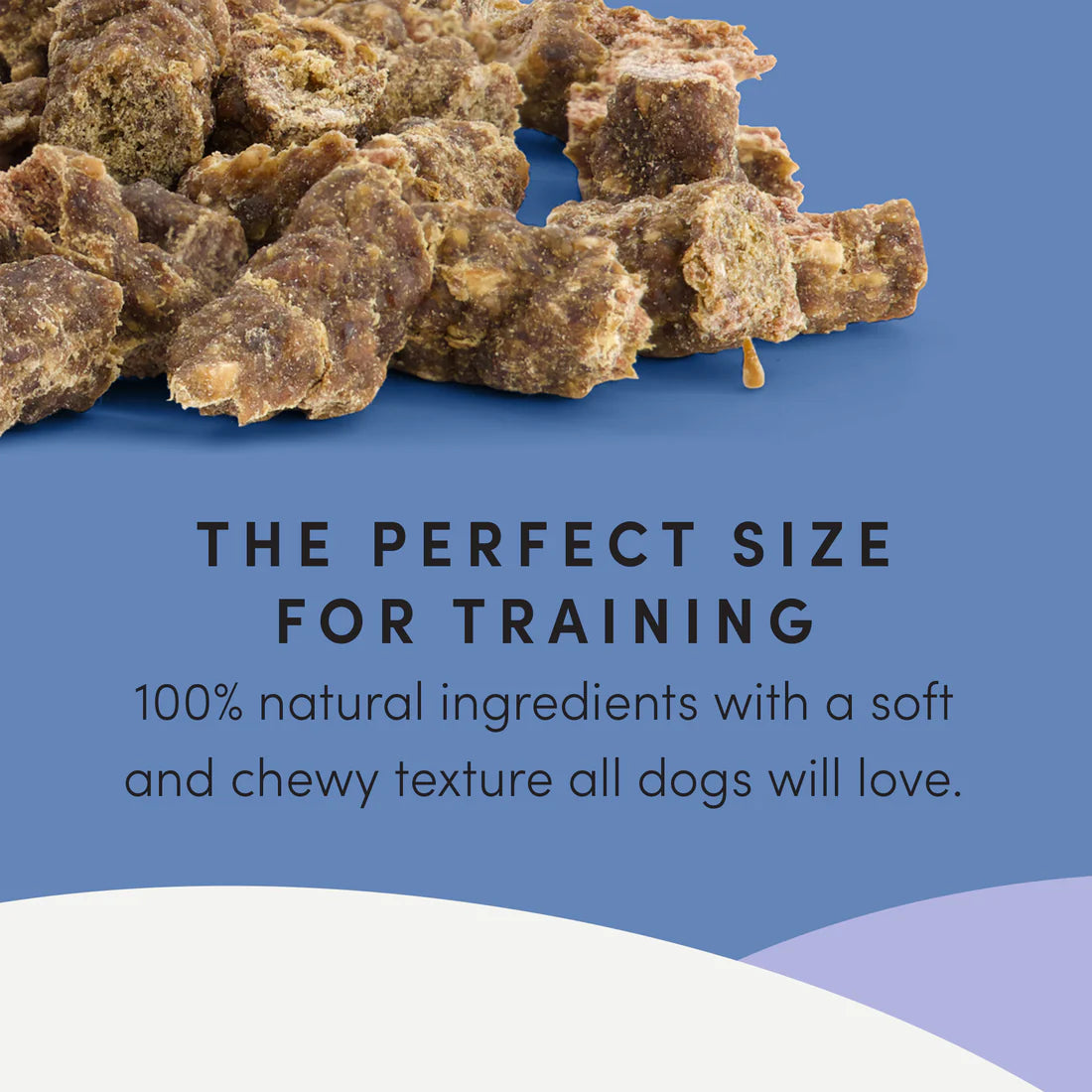 Crumps Semi Moist Beef Mini Trainers