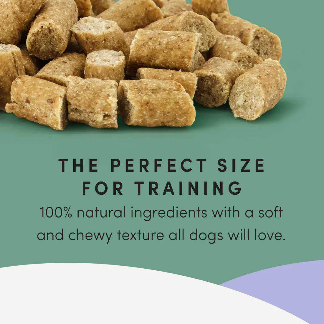 Crumps Semi Moist Chicken Mini Trainers