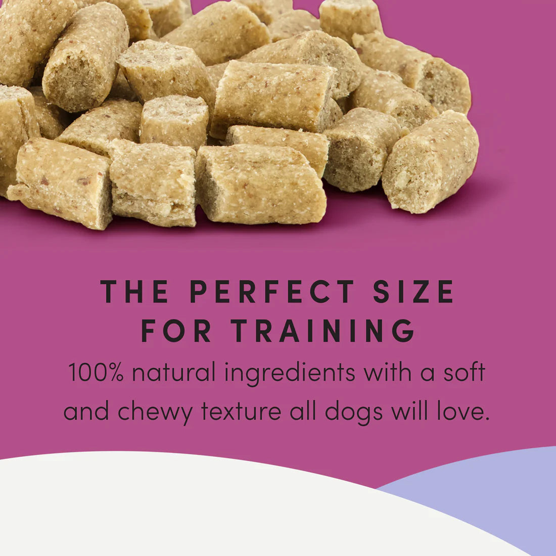 Crumps Semi Moist Lamb Mini Trainers