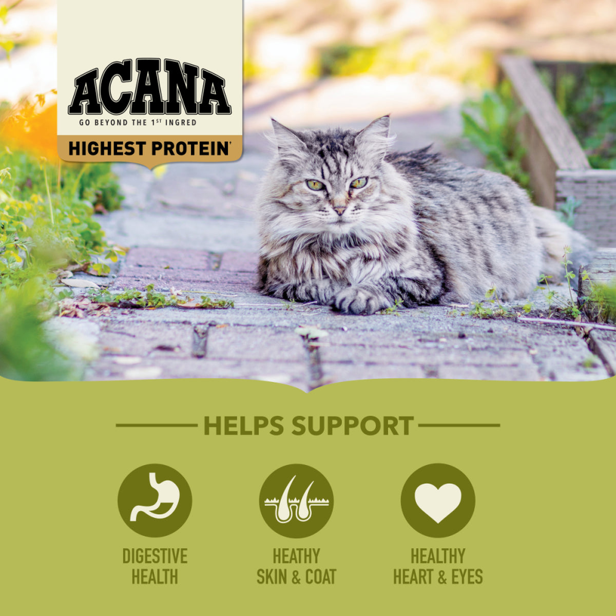 Acana Highest Protein, Grasslands Cat Food