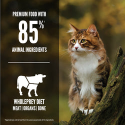 Orijen REGIONAL RED Cat Food