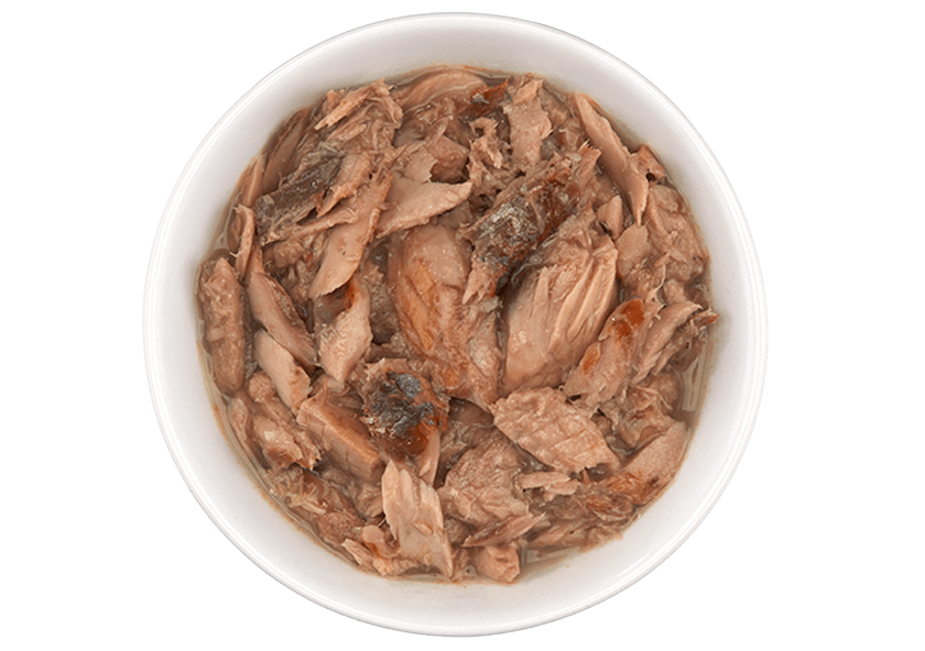 Tiki Cat® Luau™ Ahi Tuna & Mackerel Recipe in Tuna Consommé Wet Cat Food