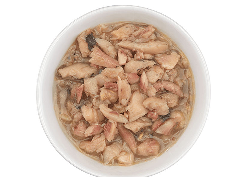 Tiki Cat® Luau™ Tilapia Recipe in Tilapia Consommé Wet Cat Food