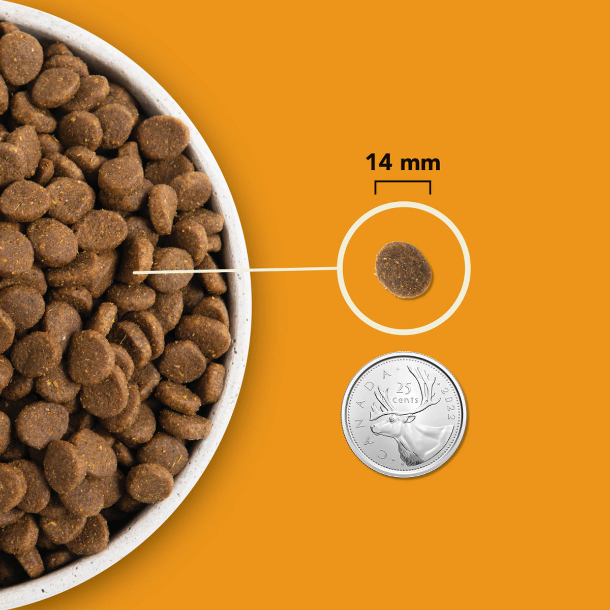 Acana Highest Protein, Wild Prairie™ Dog Food