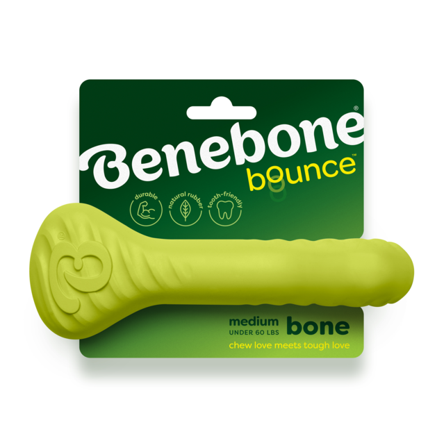 Benebone® bounce™ Rubber Bone Medium Dog Toy