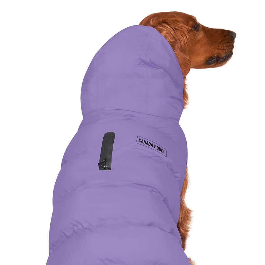 Canada Pooch® Waterproof Puffer