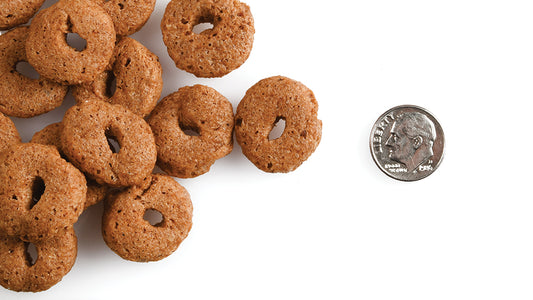 FROMM® CRUNCHY O'S® SLAMMON' SMOKED SALMON MULTIGRAIN DOG TREATS