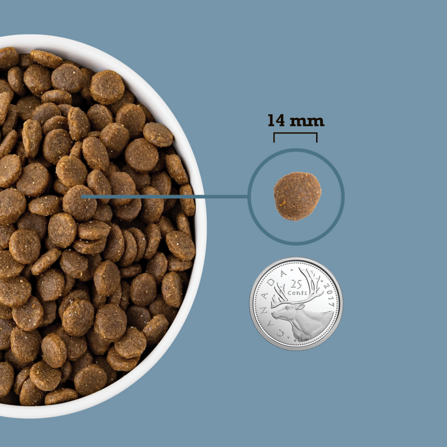 Acana Healthy Grains, Sea to Stream Recipe