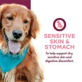 Fromm® Nutritionals Sensitive Skin & Stomach Pâté Wet Dog Food 13oz