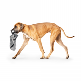 Canada Pooch® Weighted Calm™ Weighted Calming Toy Dog