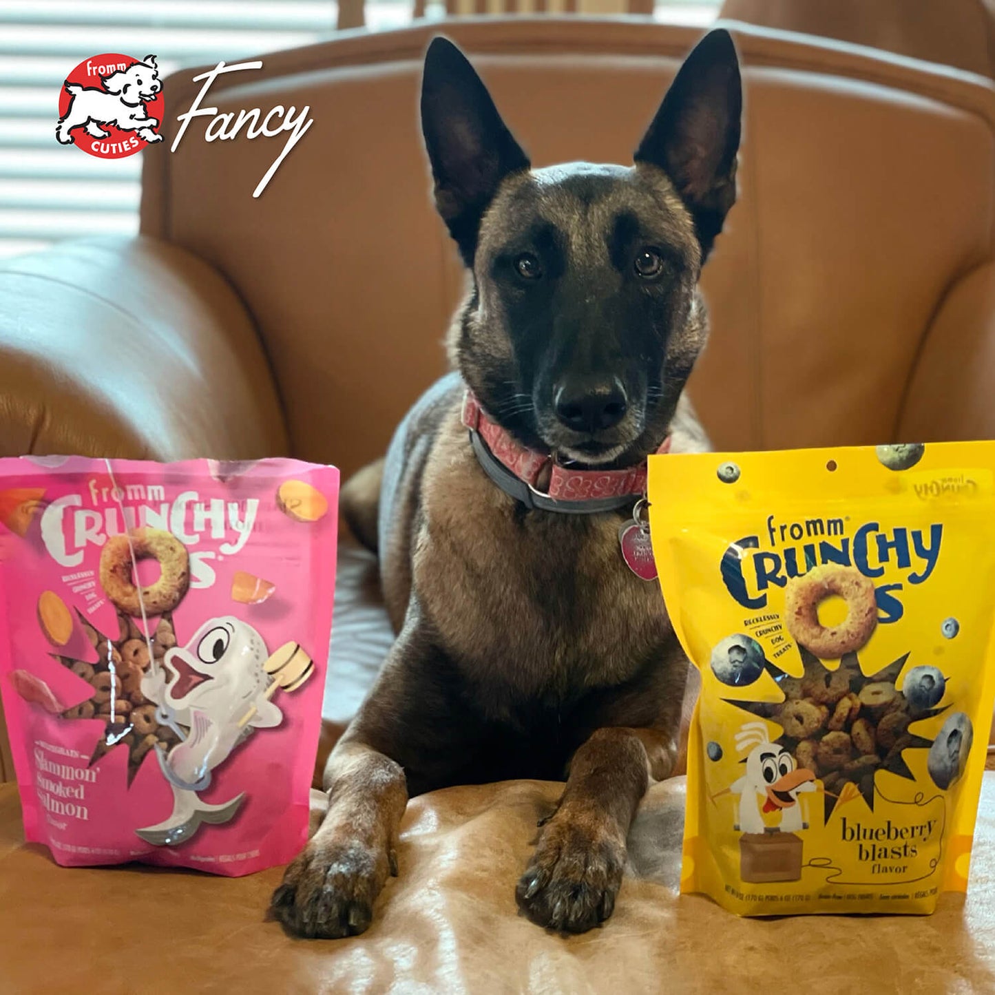 FROMM® CRUNCHY O'S® SLAMMON' SMOKED SALMON MULTIGRAIN DOG TREATS
