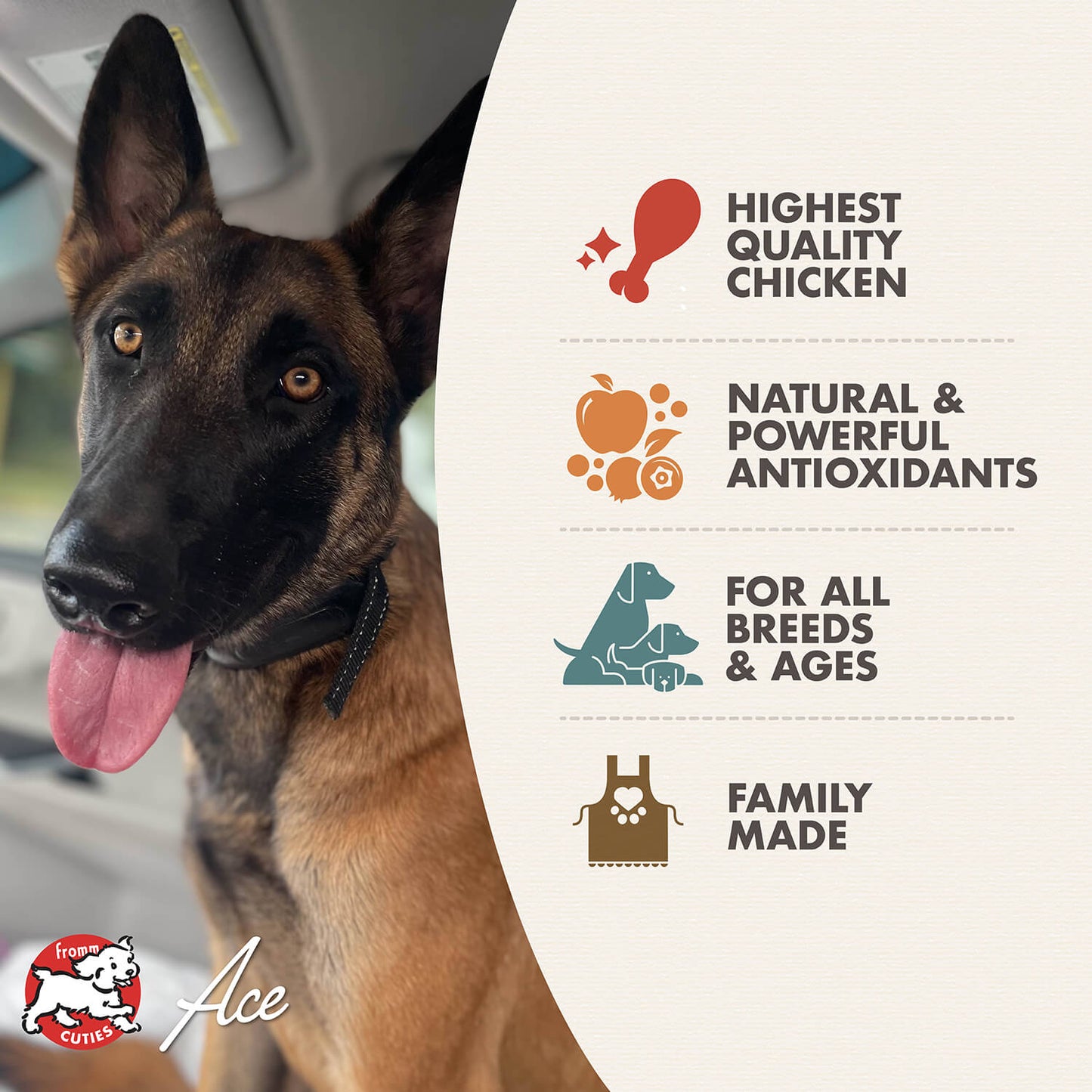 FROMM® DINER FAVORITES LOUIE'S CHICKEN & PASTA STEW WET DOG FOOD
