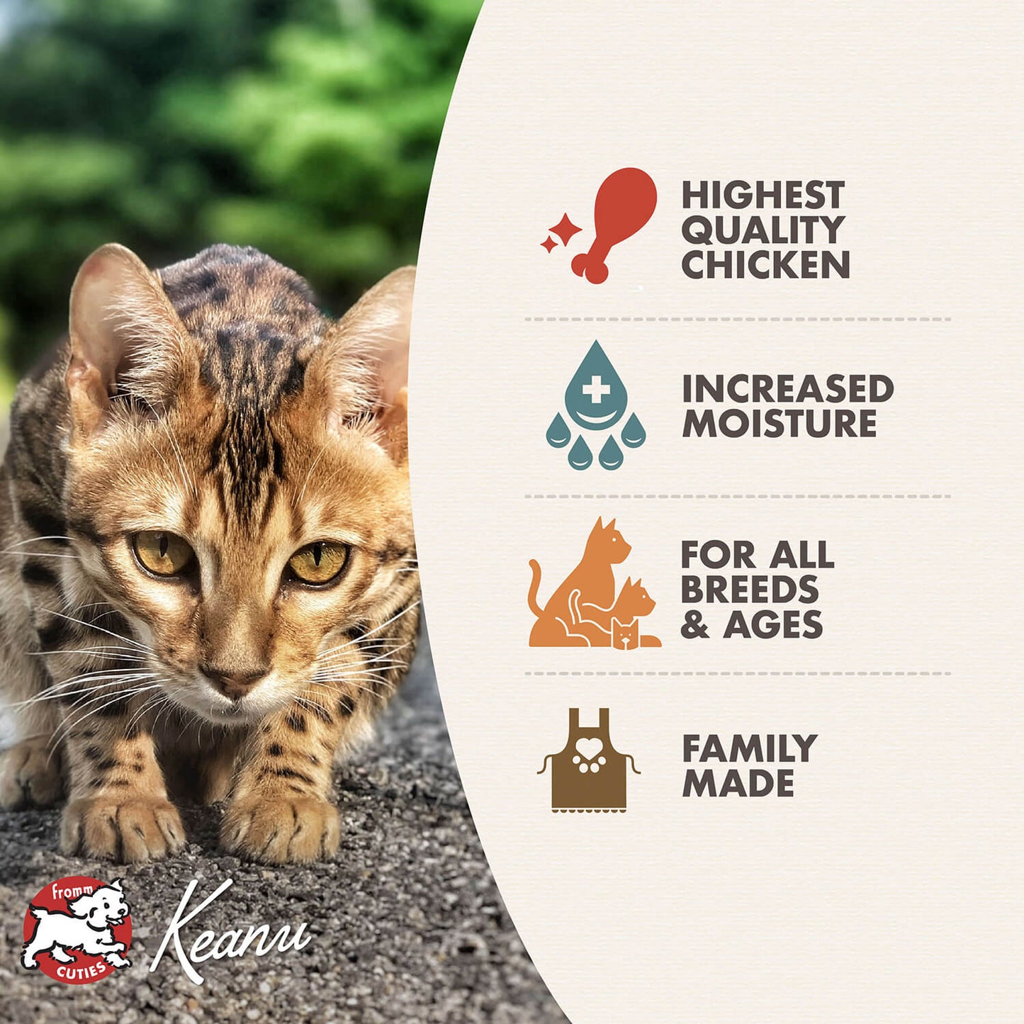 FROMM® FOUR STAR NUTRITIONALS® CHICKEN PÂTÉ WET CAT FOOD
