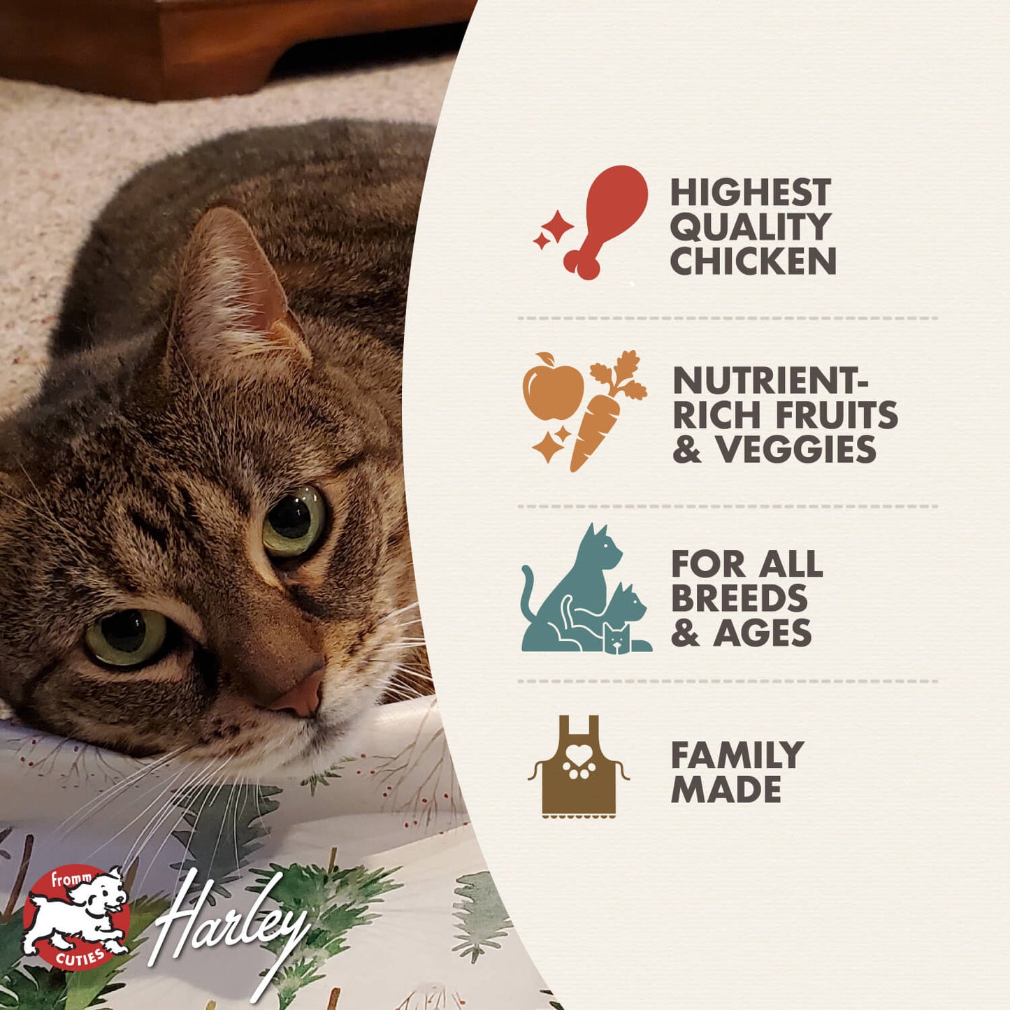 FROMM® FOUR STAR NUTRITIONALS® CHICKEN À LA VEG RECIPE DRY CAT FOOD