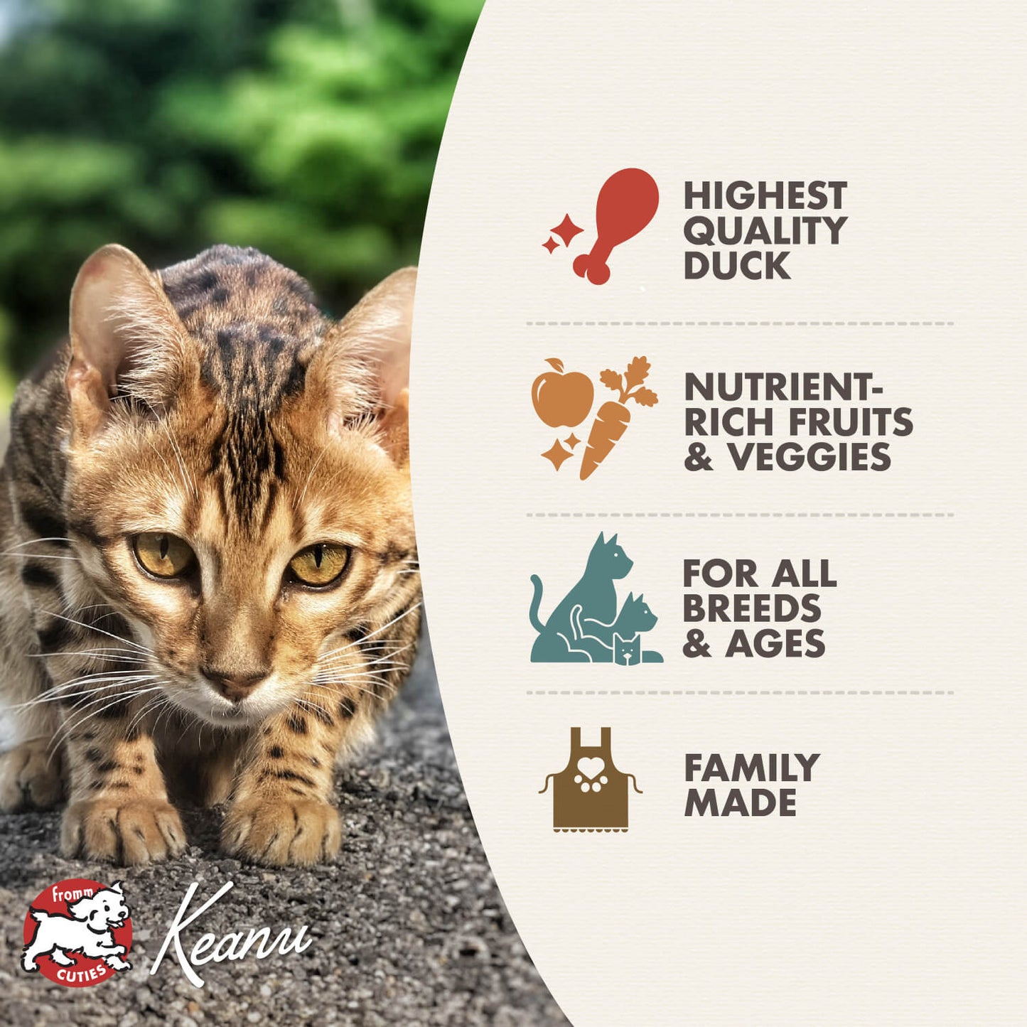FROMM® FOUR STAR NUTRITIONALS® DUCK À LA VEG RECIPE DRY CAT FOOD