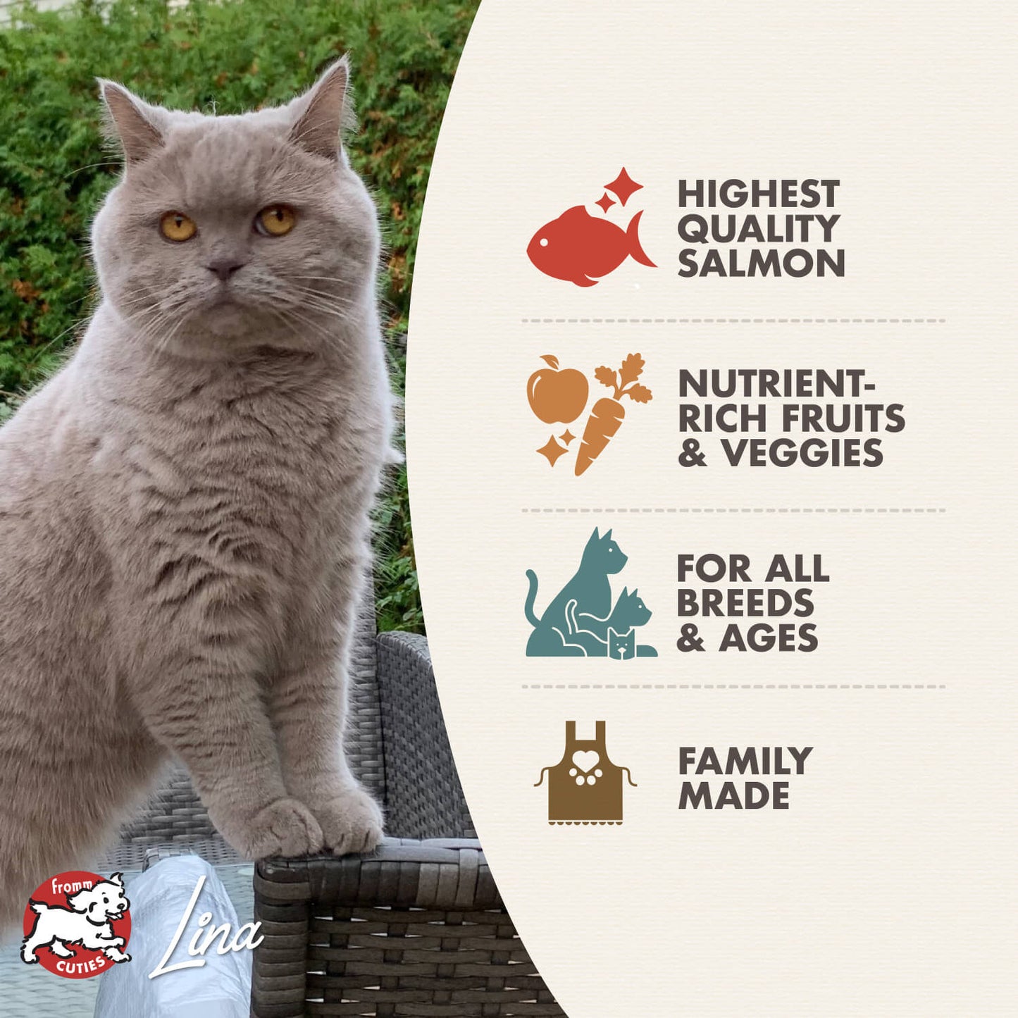 FROMM® FOUR STAR NUTRITIONALS® SALMON À LA VEG RECIPE DRY CAT FOOD