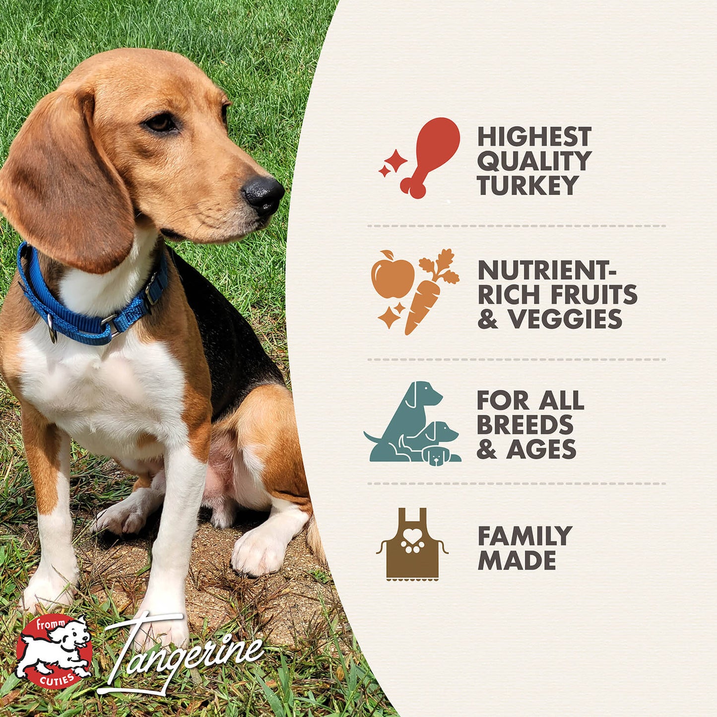 FROMM® FOUR STAR NUTRITIONALS® GAME BIRD RECIPE DRY DOG FOOD