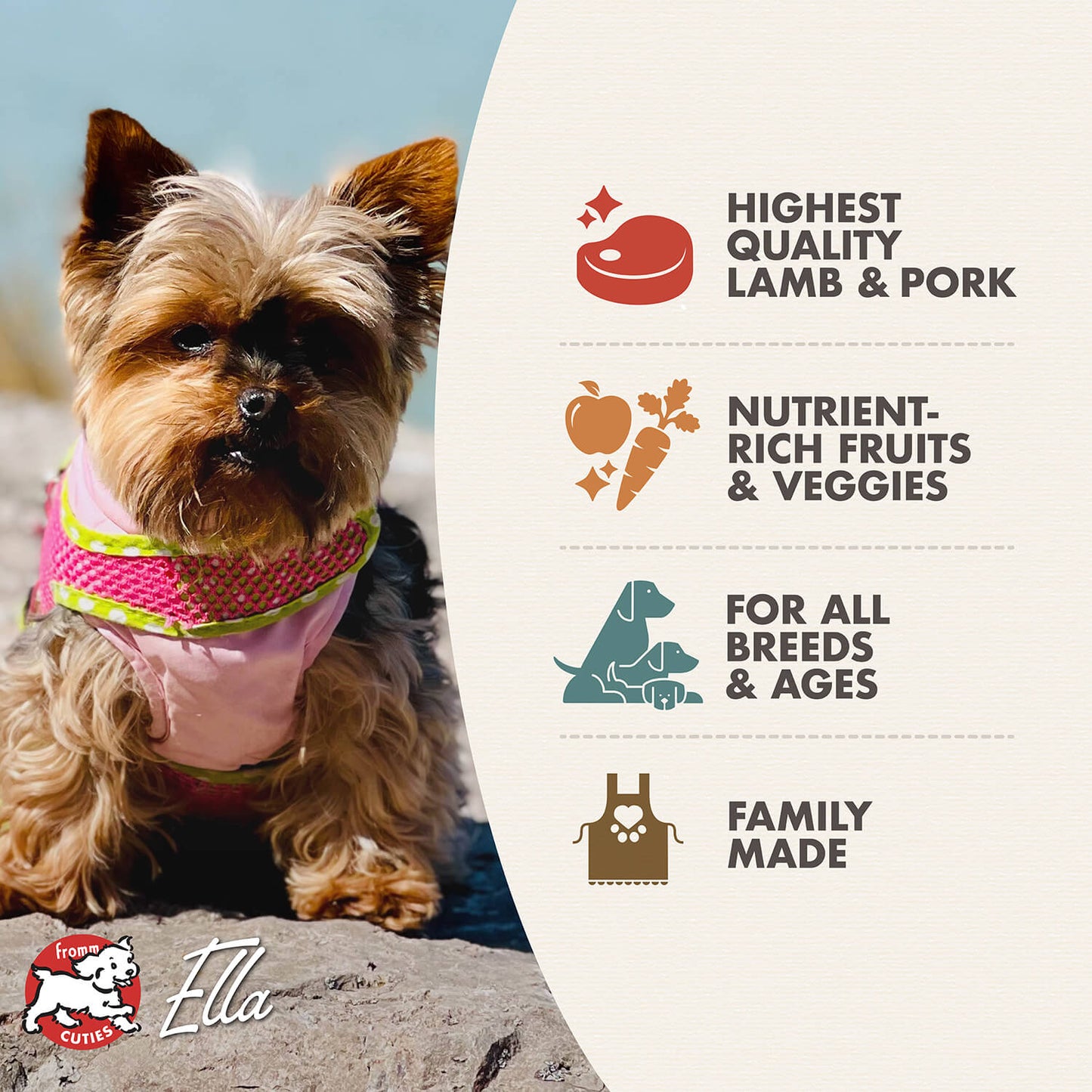 FROMM® FOUR STAR NUTRITIONALS® LAMB & LENTIL RECIPE DRY DOG FOOD