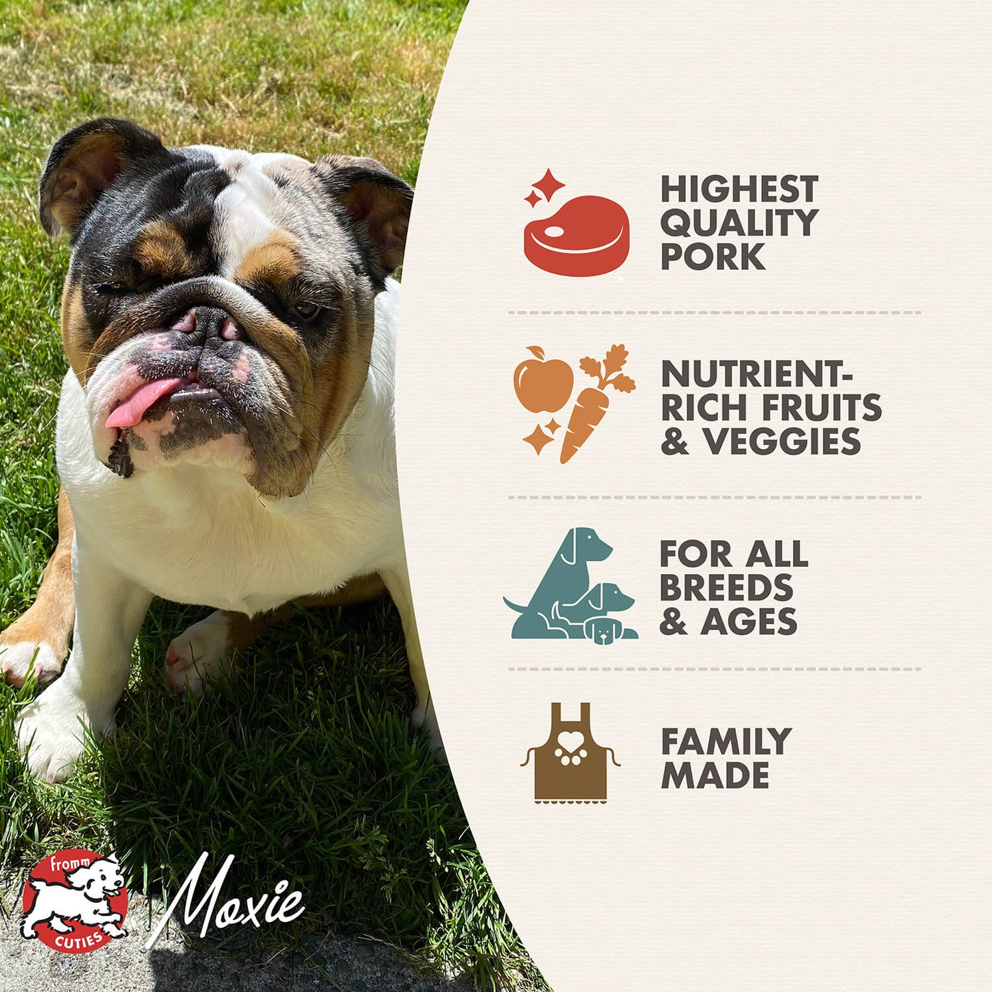 FROMM® FOUR STAR NUTRITIONALS® PORK & PEAS RECIPE DRY DOG FOOD