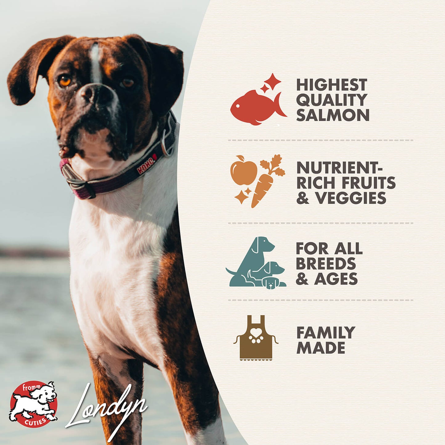 FROMM® FOUR STAR NUTRITIONALS® SALMON À LA VEG RECIPE DRY DOG FOOD