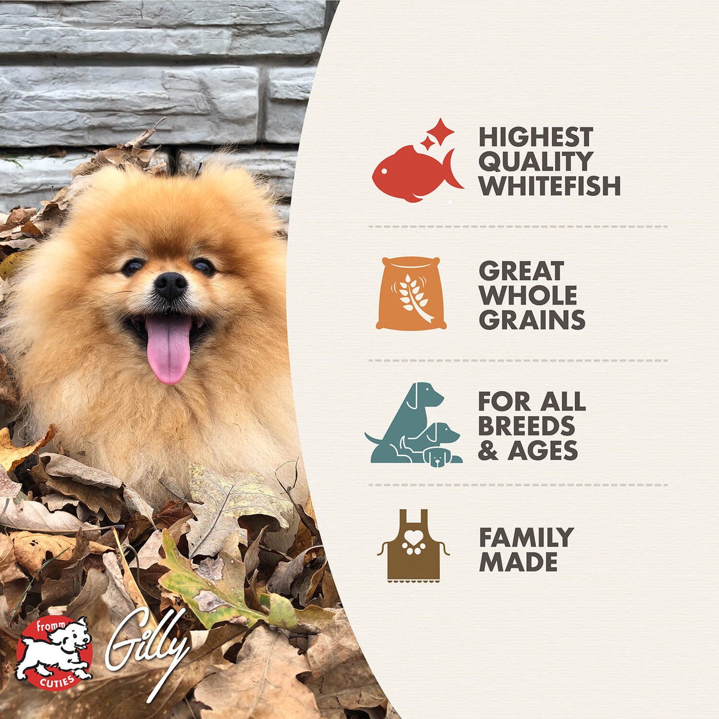 FROMM® FOUR STAR NUTRITIONALS® WHITEFISH & POTATO FORMULA DRY DOG FOOD