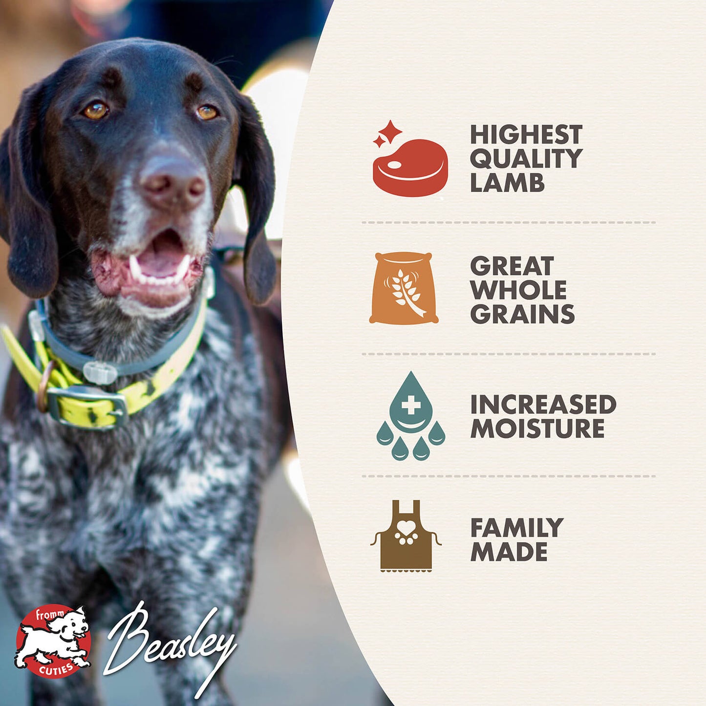 FROMM® LAMB PÂTÉ WET DOG FOOD