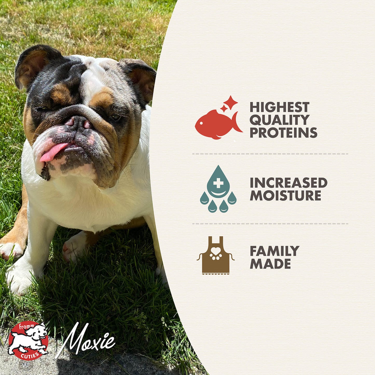 FROMM® SEAFOOD MEDLEY PÂTÉ WET DOG FOOD