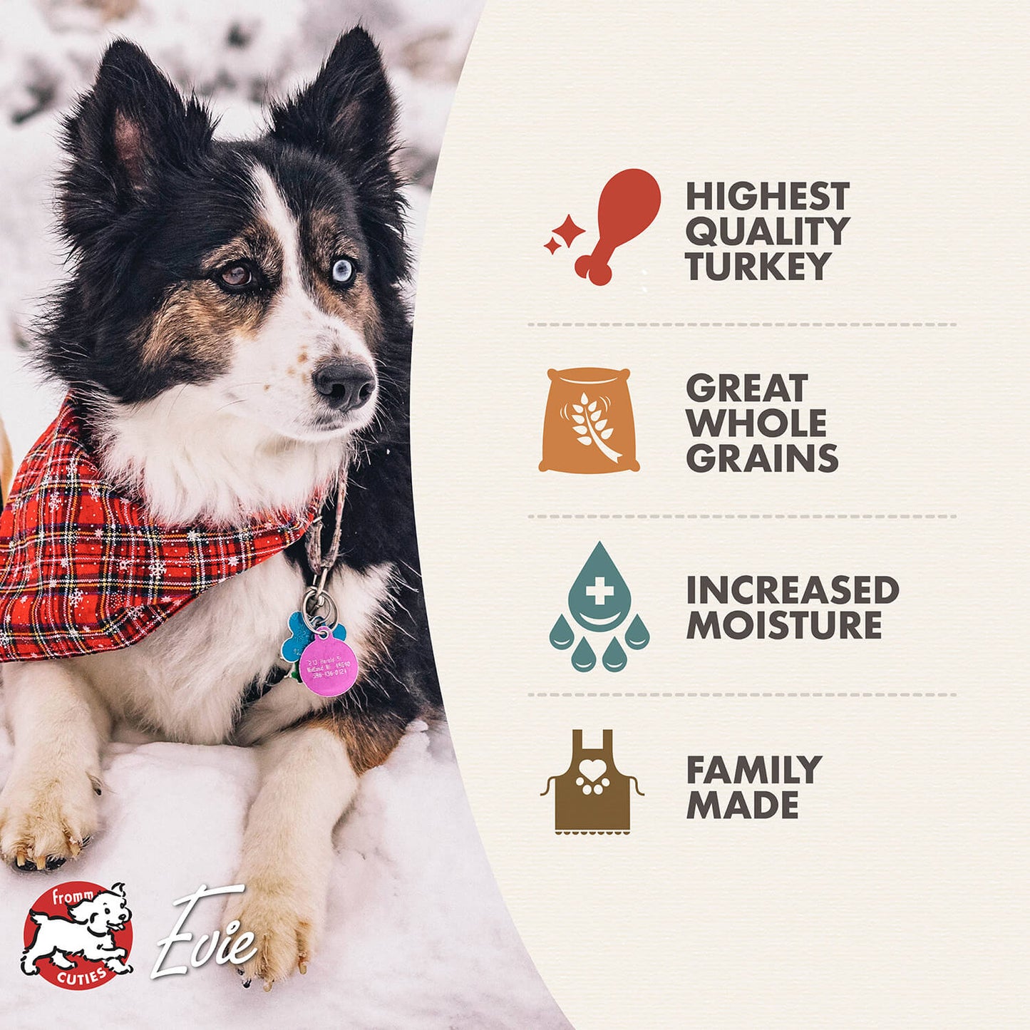 FROMM® TURKEY PÂTÉ WET DOG FOOD