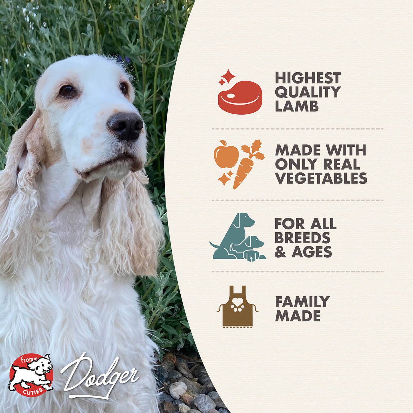 FROMM® FROMMBALAYA™ LAMB, VEGETABLE, & RICE STEW WET DOG FOOD