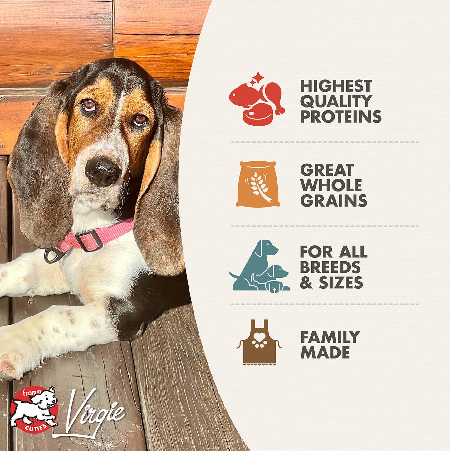 FROMM® GOLD ADULT DRY DOG FOOD