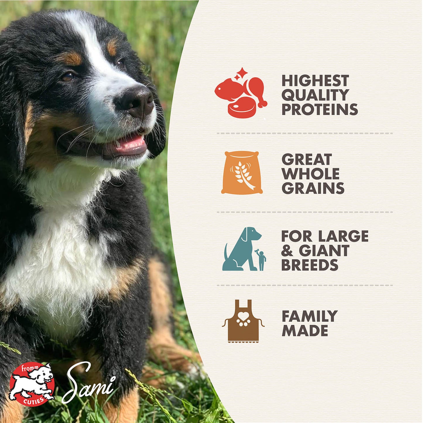 FROMM® GOLD LARGE BREED PUPPY DRY DOG FOOD
