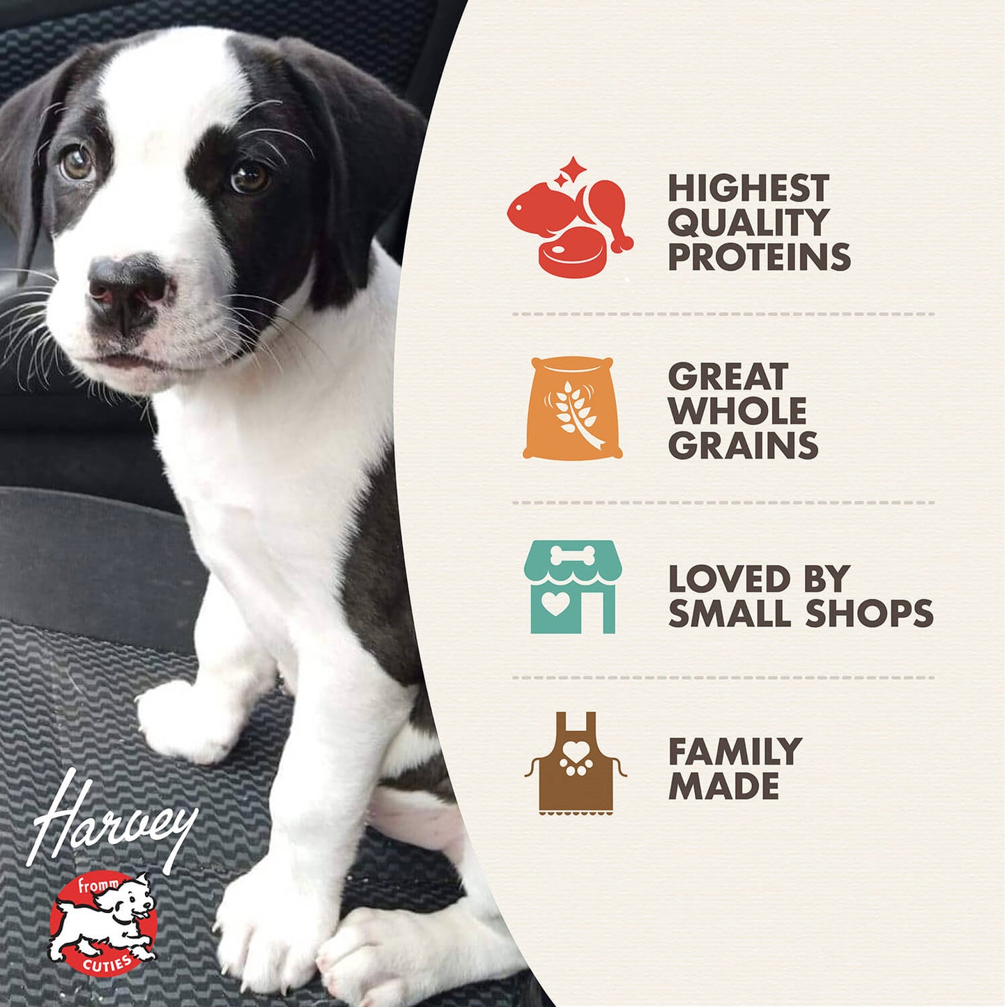 FROMM® GOLD PUPPY DRY DOG FOOD