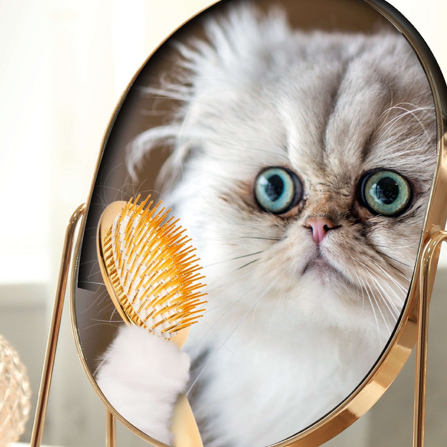 FROMM® GOLD INDOOR CAT FOOD RECIPE