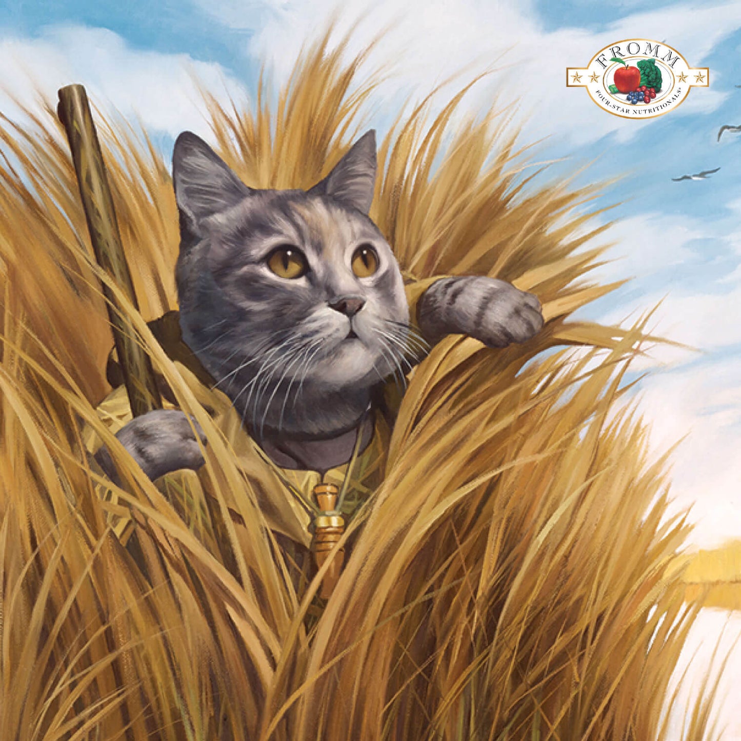FROMM® FOUR STAR NUTRITIONALS® DUCK À LA VEG RECIPE DRY CAT FOOD