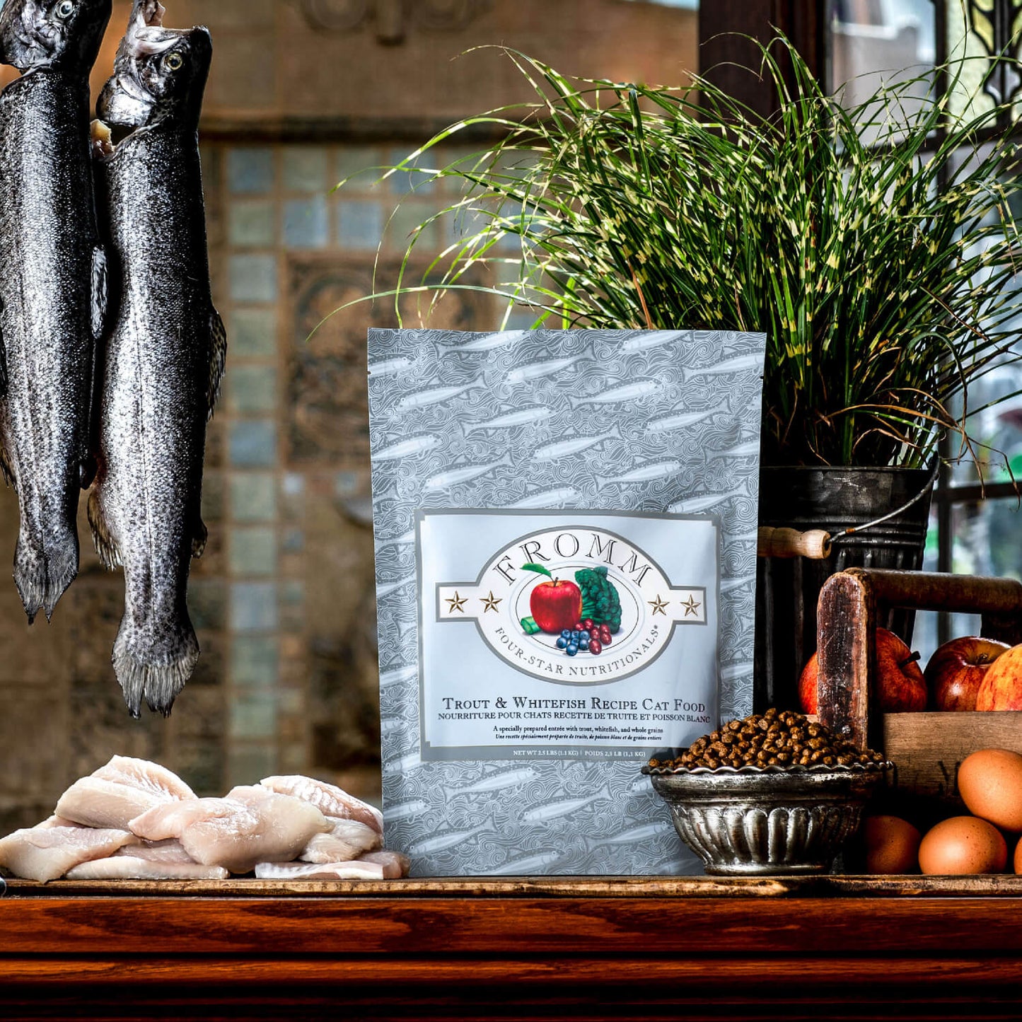 FROMM® FOUR STAR NUTRITIONALS® TROUT & WHITEFISH RECIPE DRY CAT FOOD