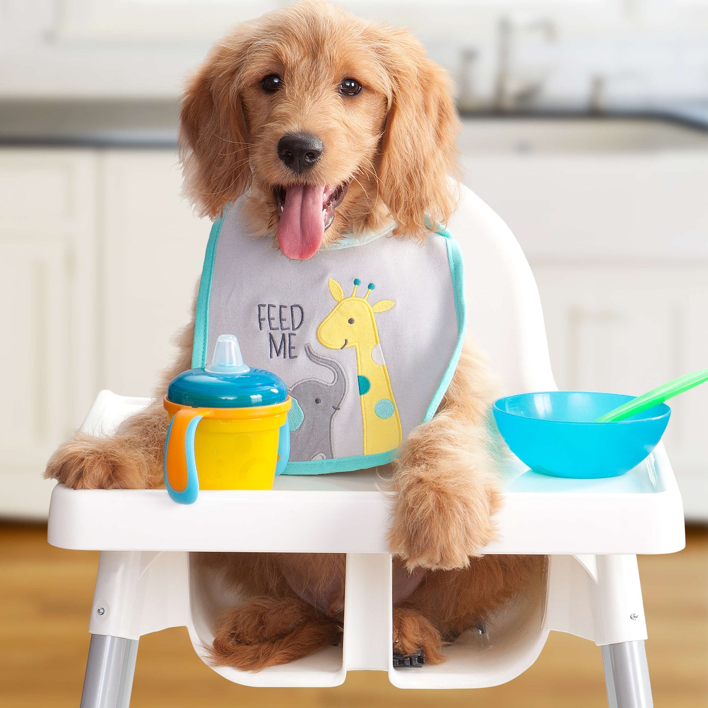 FROMM® GOLD PUPPY DRY DOG FOOD