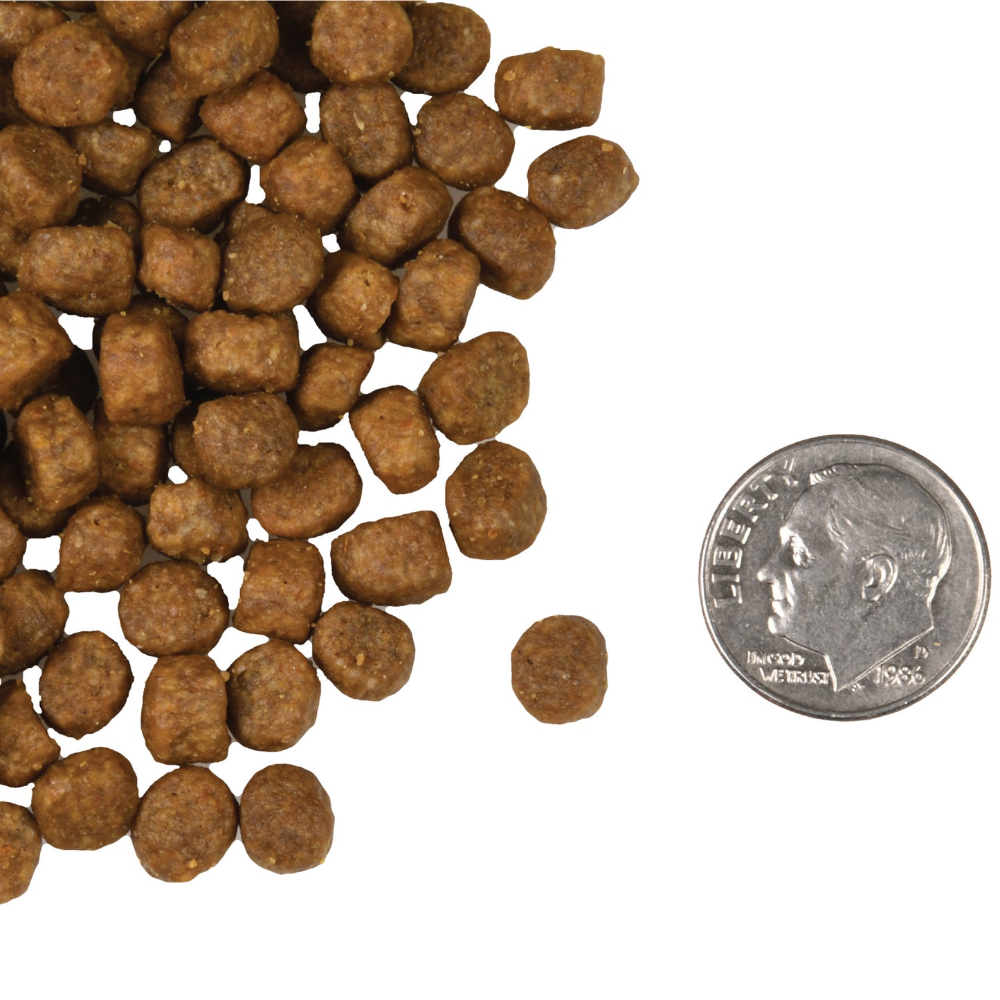 FROMM® FOUR STAR NUTRITIONALS® SALMON À LA VEG RECIPE DRY CAT FOOD