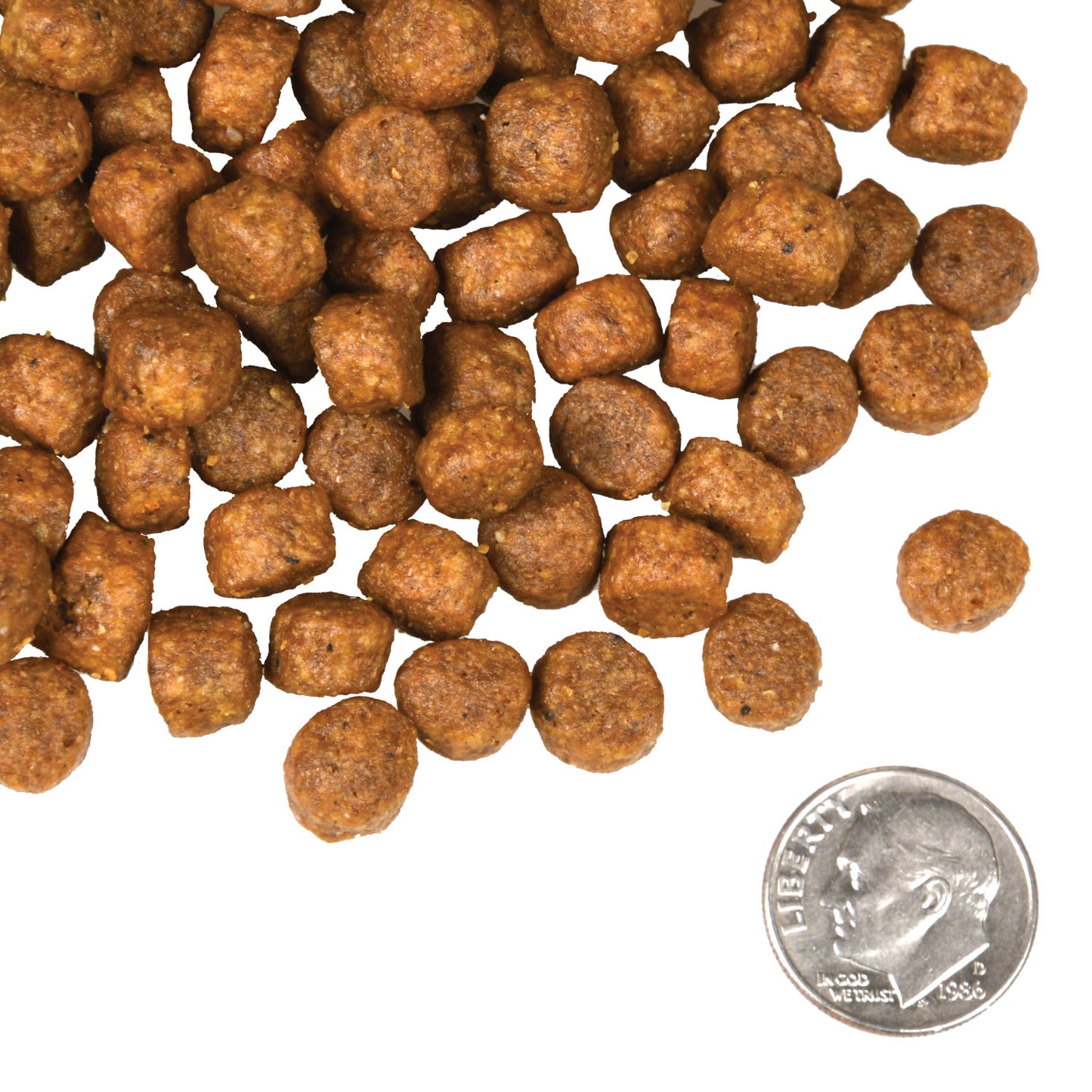 FROMM® FOUR STAR NUTRITIONALS® BEEF FRITTATA VEG® RECIPE DRY DOG FOOD