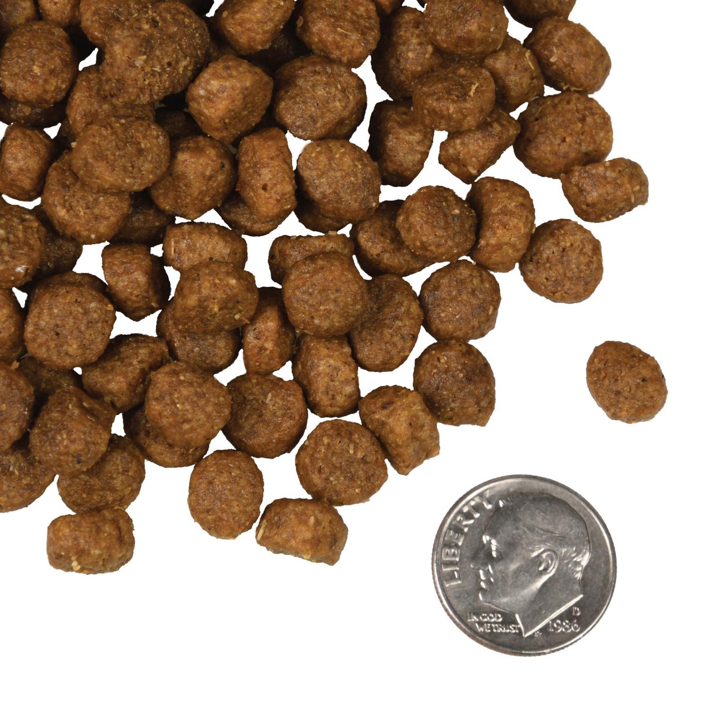FROMM® FOUR STAR NUTRITIONALS® SALMON À LA VEG RECIPE DRY DOG FOOD