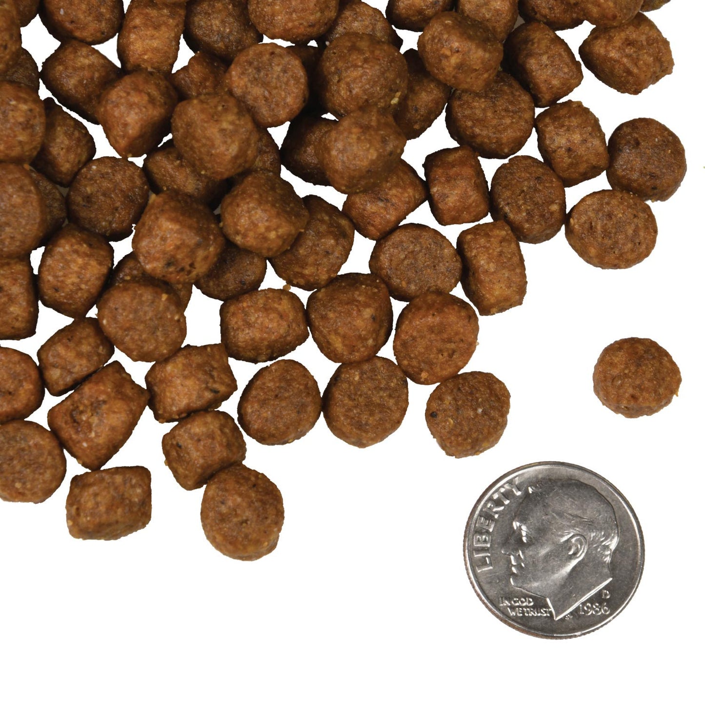 FROMM® FOUR STAR NUTRITIONALS® SALMON TUNALINI® RECIPE DRY DOG FOOD