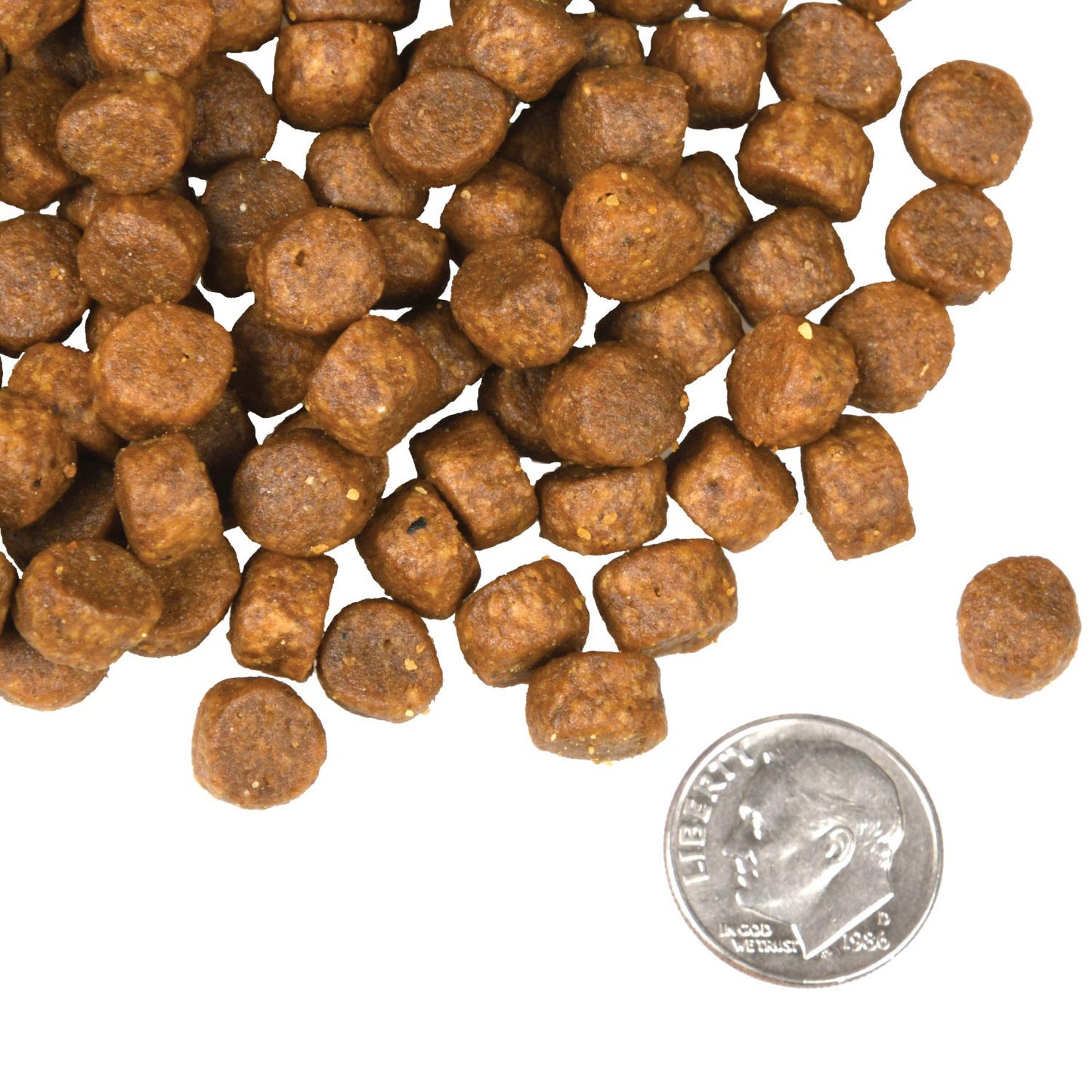 FROMM® FOUR STAR NUTRITIONALS® SURF & TURF RECIPE DRY DOG FOOD