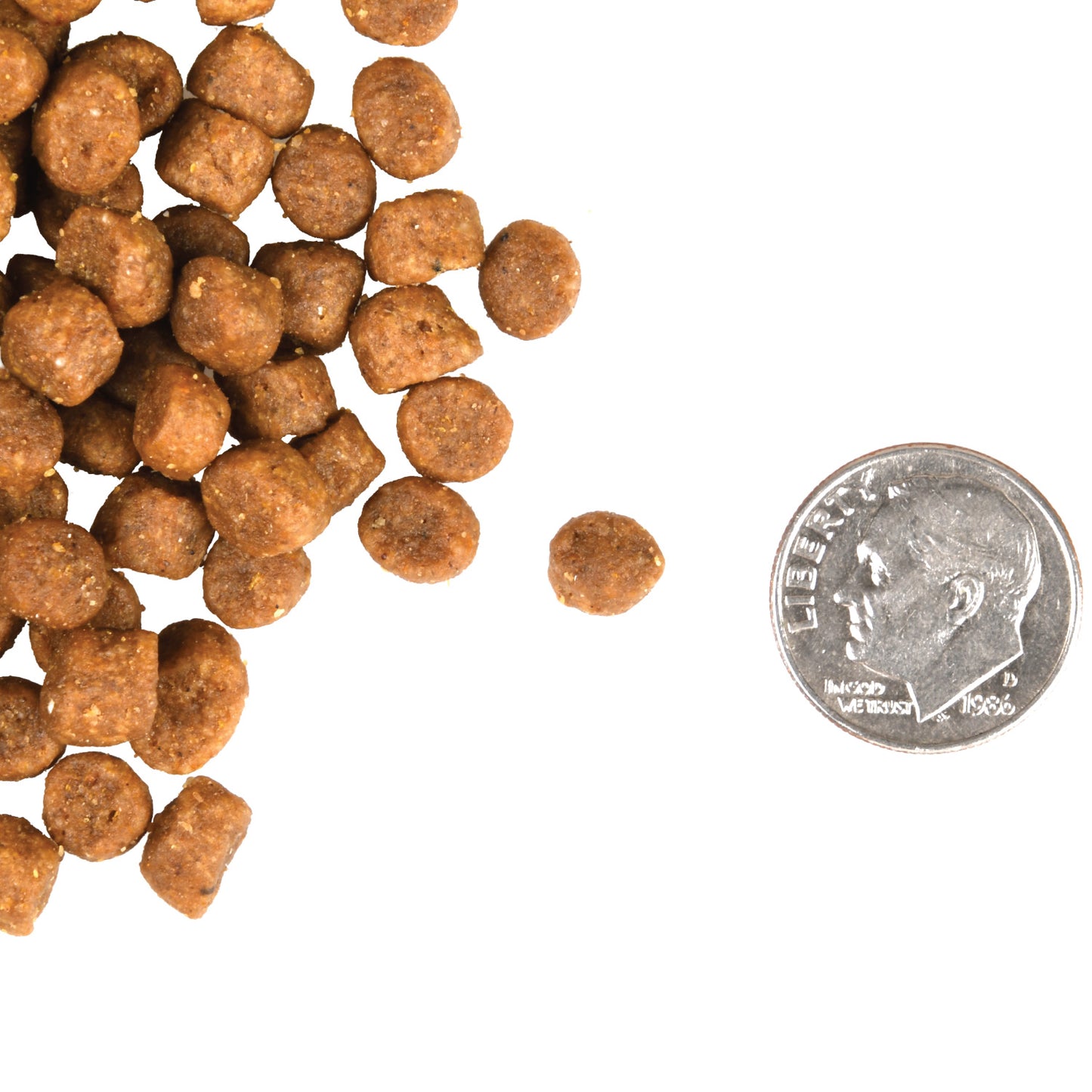 FROMM® GOLD ADULT DRY CAT FOOD
