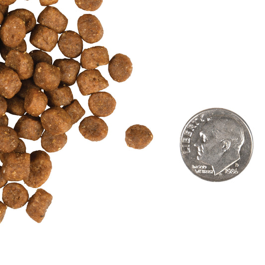 FROMM® GOLD KITTEN DRY CAT FOOD